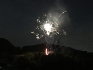 IMG_2245